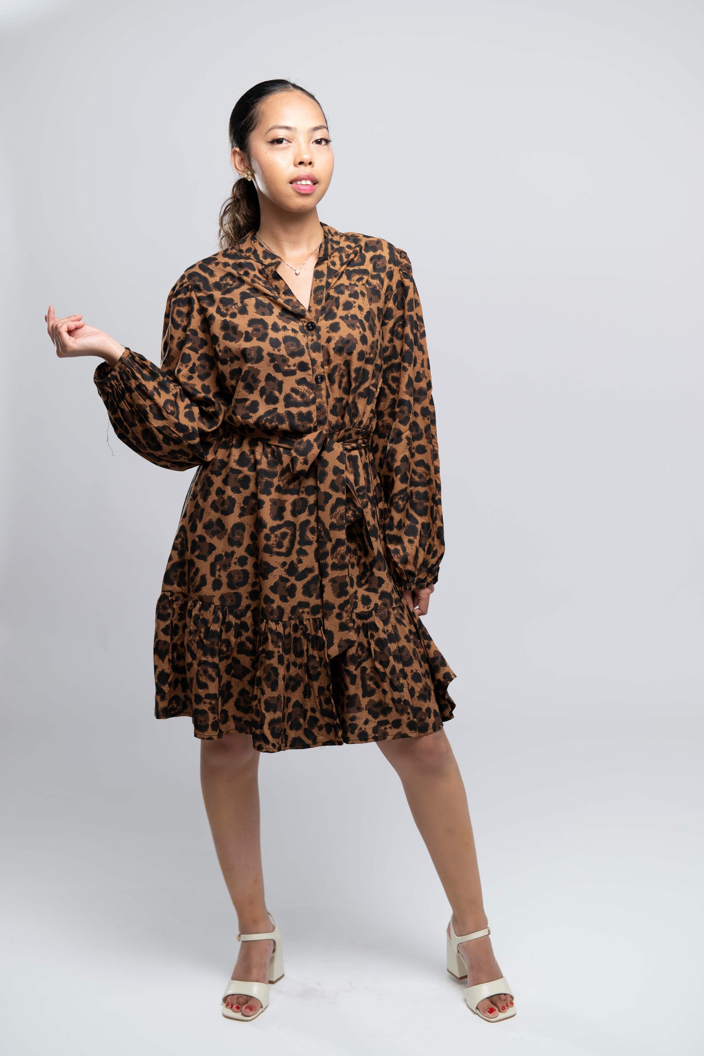 Coffee Brown & Black Animal Print Dress.