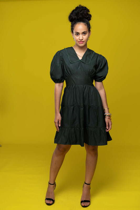 SB Puff Sleeve Women Mini Dress