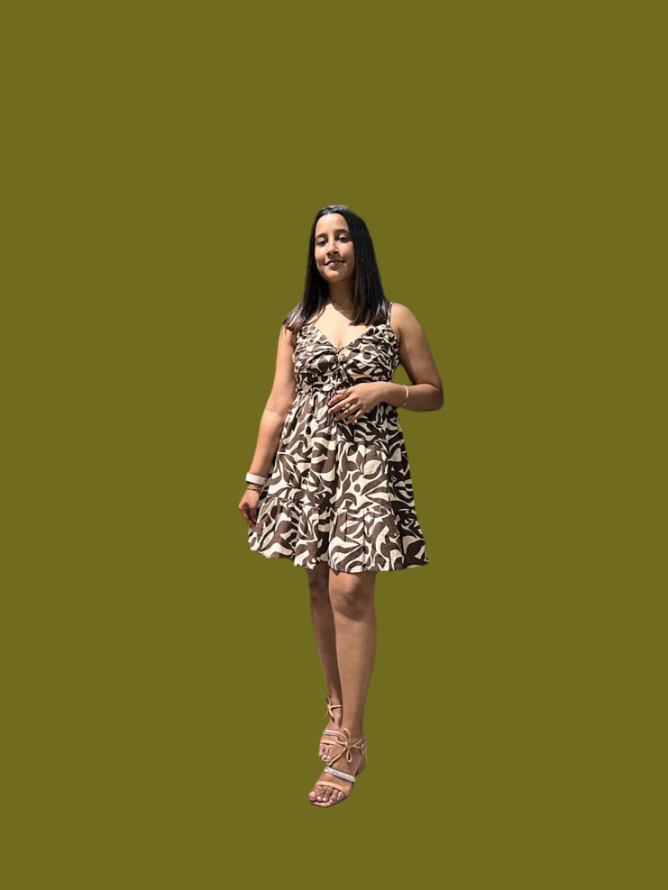 SB Animal Print A-Line dress